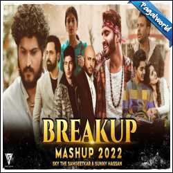 Breakup Mashup 2022 - Sunny Hassan