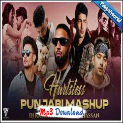 Hurtsless Punjabi Mashup 2023 - Sunny Hassan