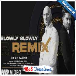 Slowly Slowly Remix - DJ Hardik