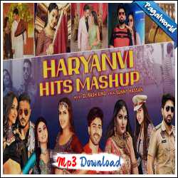The Haryanvi Hits Mashup 2023 - Sunny Hassan