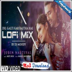 Dil Galti Kar Baitha Hai LoFi Mix - DJ Moody