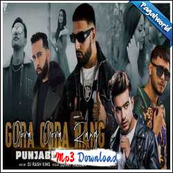 Gora Gora Rang X Punjabi Mashup - Sunny Hassan, DJ Rash King