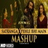 Satranga X Pehle Bhi Main Mashup - Dj Sunny Singh Uk